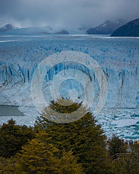 Ice wall of a glacier with some pieces of ice in the water in front of a forest. Perito Moreno Glacier in Argentina