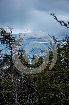 Ice wall of a glacier with some pieces of ice in the water in front of a forest. Perito Moreno Glacier in Argentina