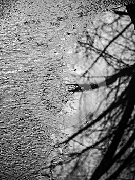 Ice and Water, Detail and Texture of Ice Along Water`s Edge