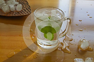 Ice water with fresh mint leaves close up