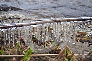 Ice is water in a solid state of aggregation. Ice icicles and stalactites on tree branches near the water. Spring flood