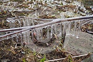 Ice is water in a solid state of aggregation. Ice icicles and stalactites on tree branches near the water. Spring flood