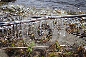 Ice is water in a solid state of aggregation. Ice icicles and stalactites on tree branches near the water. Spring flood