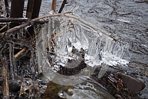 Ice is water in a solid state of aggregation. Ice icicles and stalactites on tree branches near the water. Spring flood