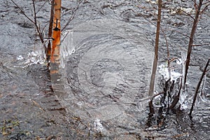 Ice is water in a solid state of aggregation. Ice icicles and stalactites on tree branches near the water. Spring flood