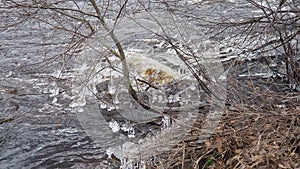 Ice is water in a solid state of aggregation. Ice icicles and stalactites on tree branches near the water. Spring flood