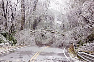 Ice winter tree road block yikes country beautiful damage