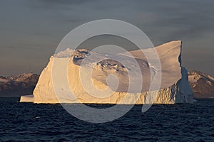 Iceberg