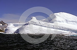 Iceberg