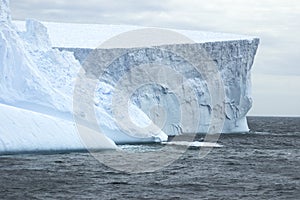 Iceberg