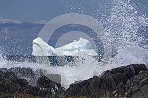 Iceberg along the Newfoundland coastline