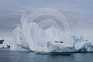 Iceberg in Antarctica