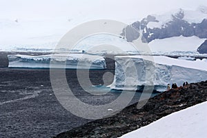 Iceberg in the bay on the Detaille Island in Antarctica photo