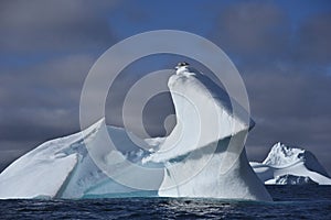 Iceberg with birds