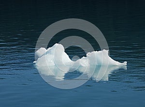 Iceberg Bit