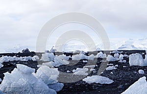 Iceberg on the black rock beach