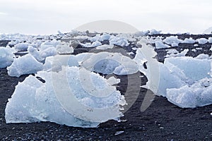 Iceberg on the black rock beach