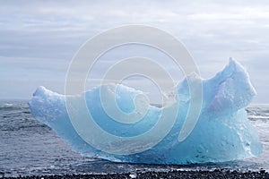 Iceberg on the black rock beach