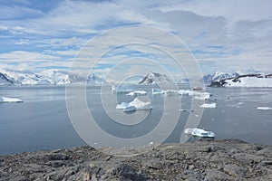 An iceberg field, Antarctica 2019