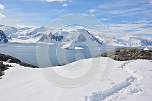 An iceberg field, Antarctica 2019