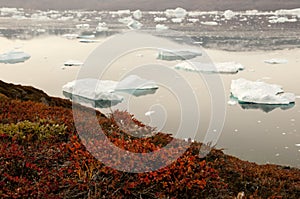Iceberg Fjord - Scoresby Sound - Greenland photo