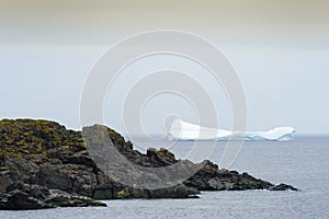 Iceberg floating for the coast