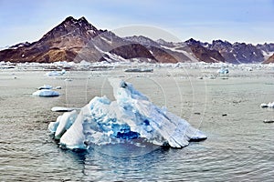 Iceberg floating in greenland fjord