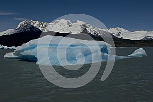 Iceberg floating on the Lake Argentino