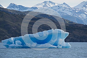 Iceberg floating on the Lake Argentino