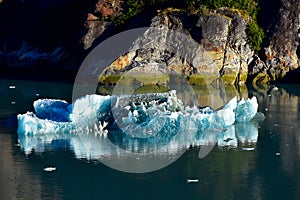 Iceberg floating in Tracy arm Fjord