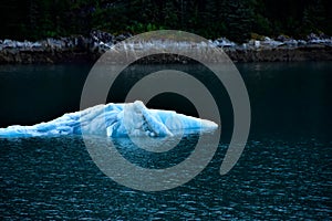 Iceberg floating in Tracy arm Fjord