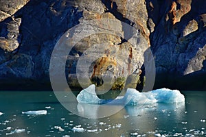 Iceberg floating in Tracy Arm Fjord