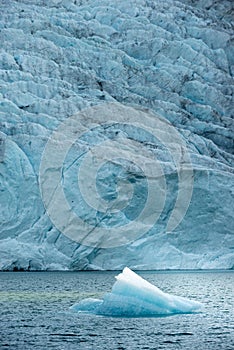 Iceberg floats in crystal clear water of Mosevatnet Lake with Folgefonna Glacier in the background