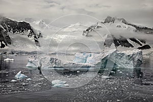 Iceberg and Glacier, Antarctica