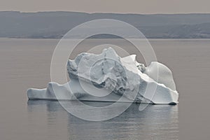 An iceberg in King\'s Cove