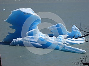 Iceberg in Lago Grey, parque Torres del Paine, Patagonia, Chile photo