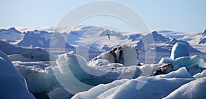 Iceberg Lagoon, Jokulsarlon lake, Iceland