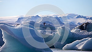 Iceberg Lagoon, Jokulsarlon lake, Iceland