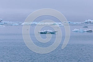 Iceberg lagoon jokulsarlon on the south of Iceland