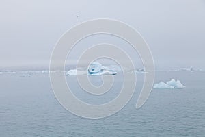 Ledovec laguna Jökulsárlón na jih z island 