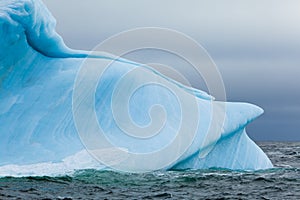 Iceberg