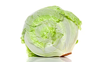 Iceberg lettuce photo