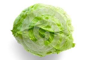 Iceberg Lettuce