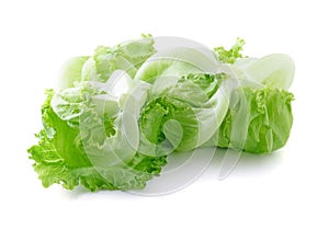 Iceberg lettuce cabbage