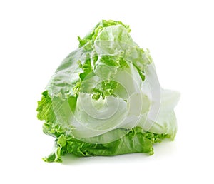 Iceberg lettuce cabbage