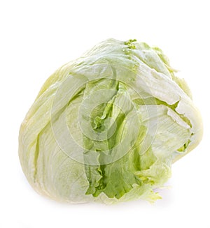 Iceberg lettuce in studio