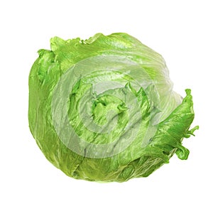 Iceberg lettuce, or crisphead, isolated, from above, on white background photo