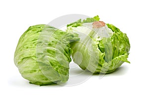 Iceberg lettuce isolated on white background. Two whole heads of crisphead lettuce, leafy green vegetables