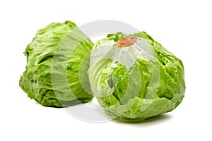 Iceberg lettuce isolated on white background. Two whole heads of crisphead lettuce, leafy green vegetables