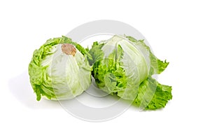 Iceberg lettuce isolated on white background. Two whole heads of crisphead lettuce, leafy green vegetables